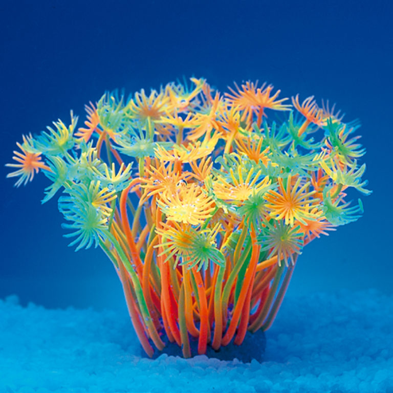 Coral neón de plástico, Goniopora stokesi, multicolor