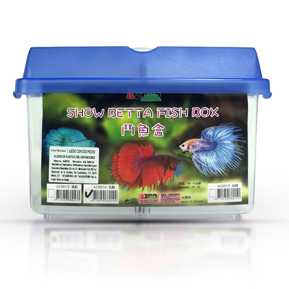 Betta habitat, mini acuario con separación transparente y negra para peces Betta, verde