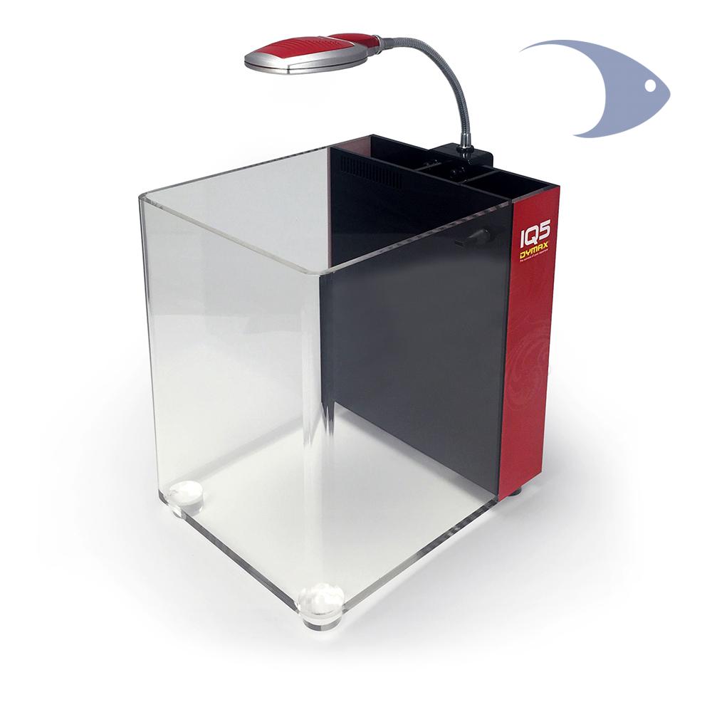 Mini Acuario acrílico c/filtro y lámpara LED grad blanco-azul, 13 litros IQ5 Amatista púrpura
