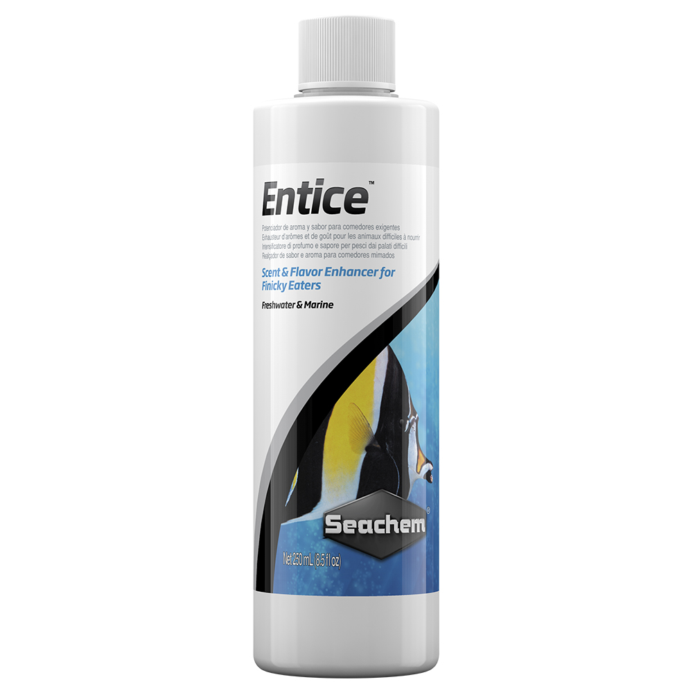 Entice, 250 ml