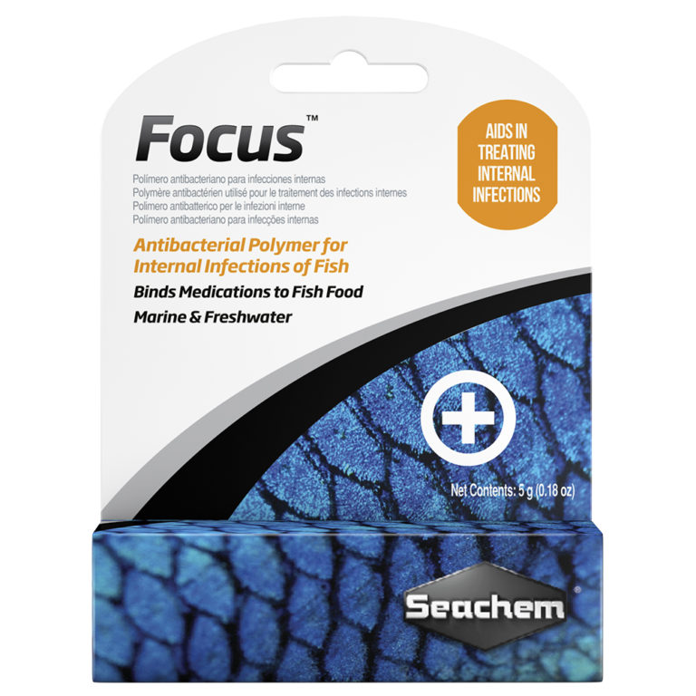 Focus, 5 g (0,2 oz) *